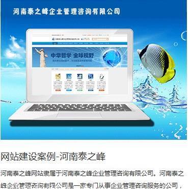 【焦作網(wǎng)站開發(fā)實力排行榜/網(wǎng)站開發(fā)實力哪家強/高端網(wǎng)站建設公司】價格,廠家,網(wǎng)站建設-搜了網(wǎng)